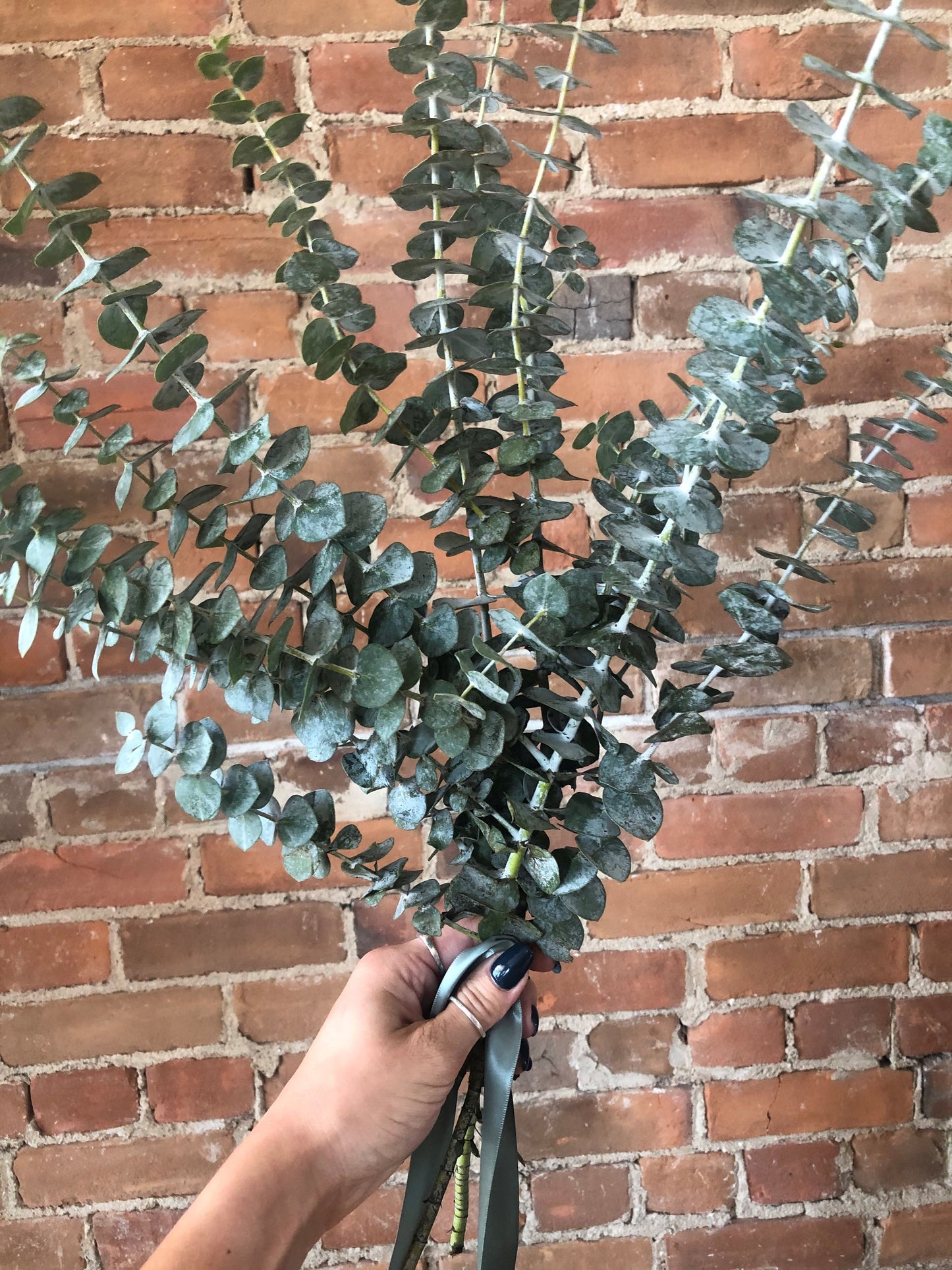 Eucalyptus shower bouquet