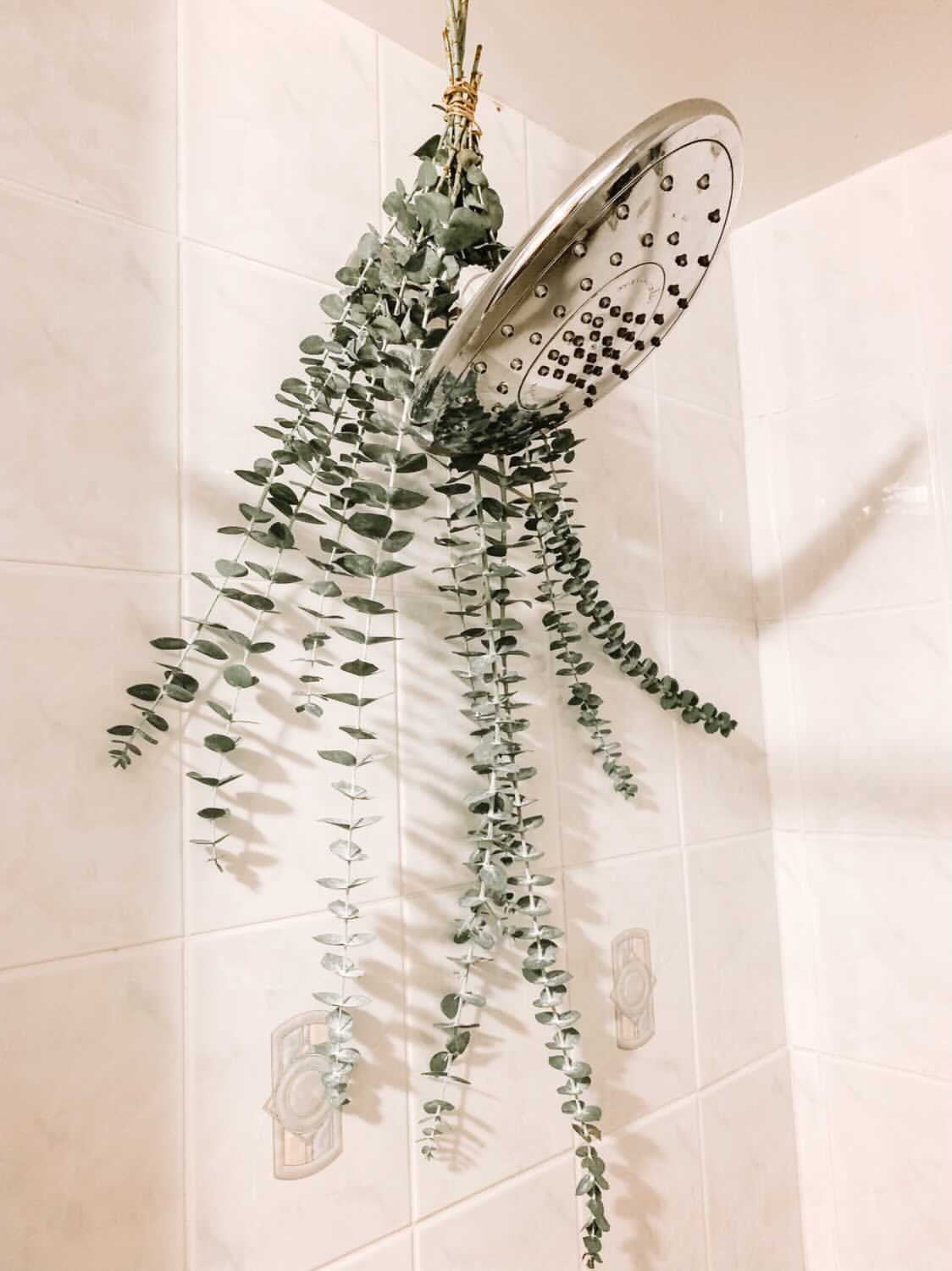 Eucalyptus shower bouquet
